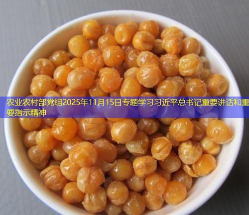 农业农村部党组2025年11月15日专题学习习近平总书记重要讲话和重要指示精神