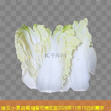 埃及小麦战略储备可满足至2028年11月15日的需求