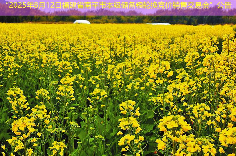 “2025年8月12日福建省南平市本级储备粮轮换竞价销售交易会”公告