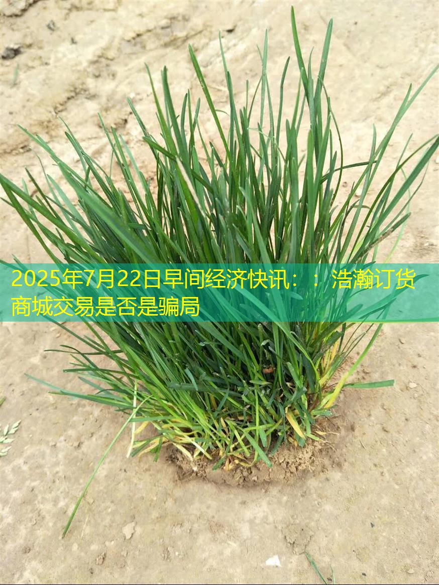 2025年7月22日早间经济快讯：：浩瀚订货商城交易是否是骗局