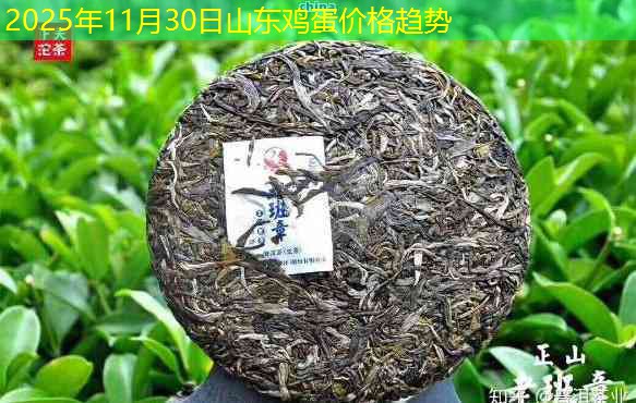 2025年11月30日山东鸡蛋价格趋势