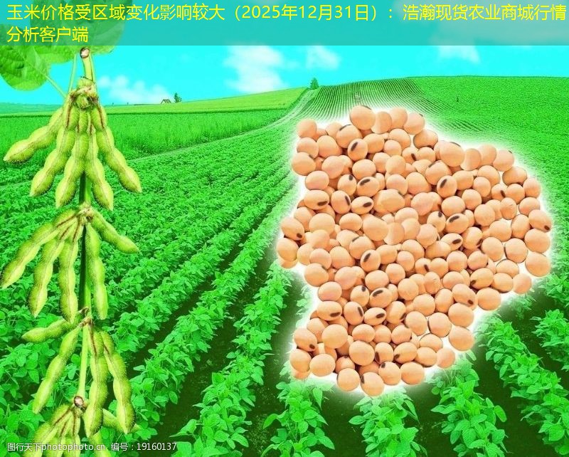 玉米价格受区域变化影响较大（2025年12月31日）：浩瀚现货农业商城行情分析客户端
