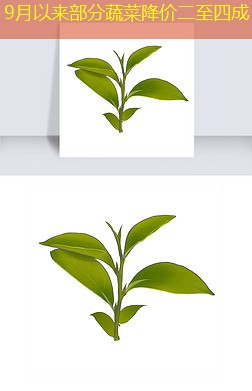 9月以来部分蔬菜降价二至四成