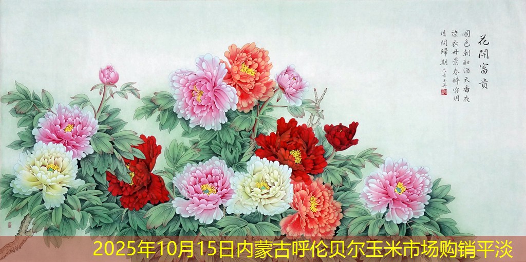 2025年10月15日内蒙古呼伦贝尔玉米市场购销平淡