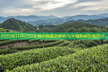 2025年11月23日生猪价格趋势解析与关键影响因素探讨