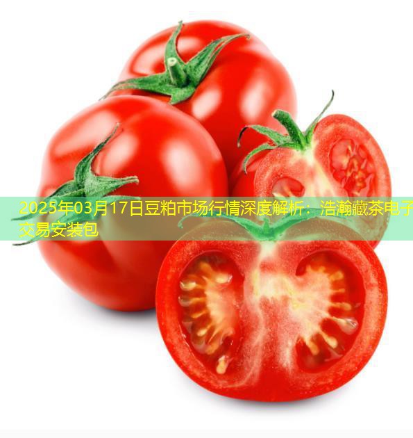 2025年03月17日豆粕市场行情深度解析：浩瀚藏茶电子交易安装包