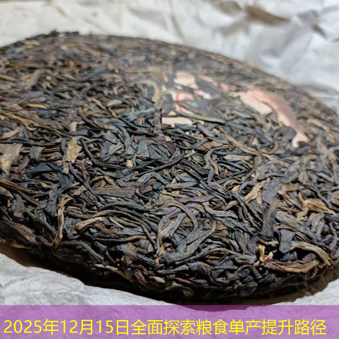 2025年12月15日全面探索粮食单产提升路径