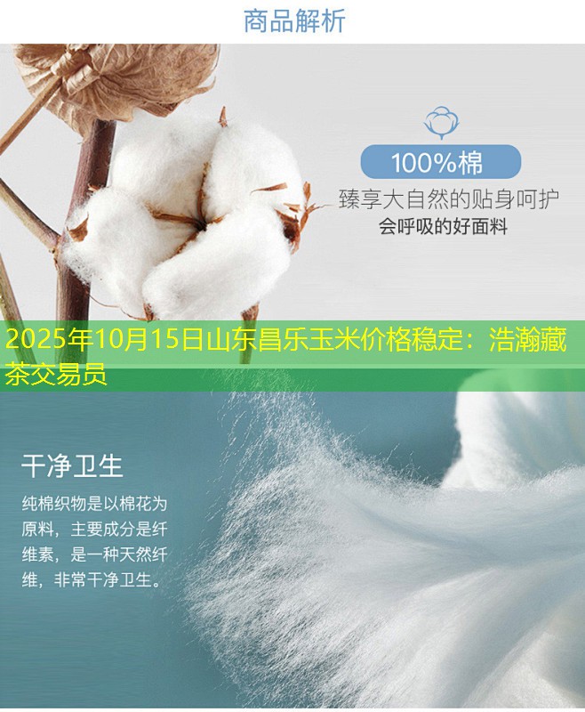 2025年10月15日山东昌乐玉米价格稳定：浩瀚藏茶交易员