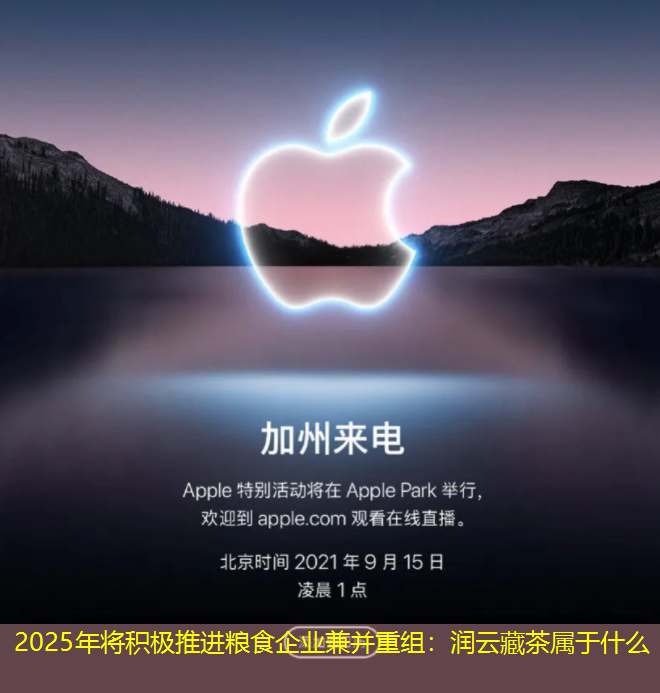 2025年将积极推进粮食企业兼并重组：润云藏茶属于什么