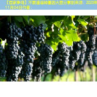 【百家争鸣】不要造谣转基因大豆分享到来源：2025年11月04日作者：