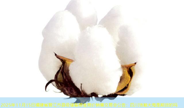 2025年11月15日福建省晋江市县级储备粮食竞价销售交易会公告：四川浩瀚大海是期货的吗