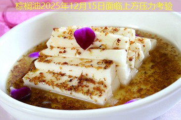 棕榈油2025年12月15日面临上方压力考验