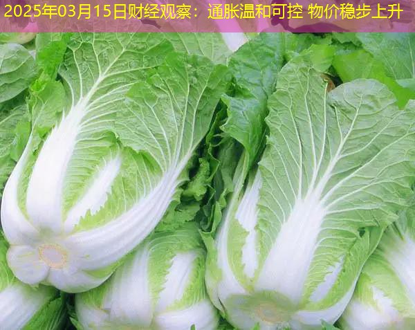 2025年03月15日财经观察：通胀温和可控 物价稳步上升