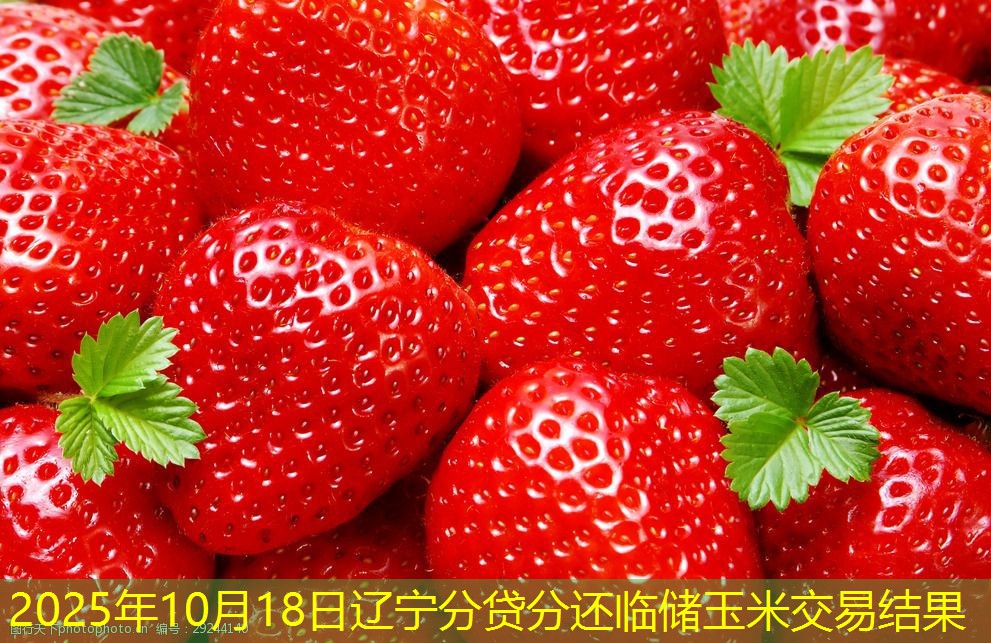 2025年10月18日辽宁分贷分还临储玉米交易结果