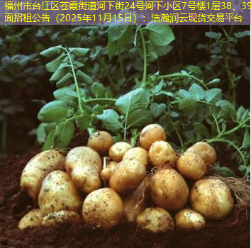 福州市台江区苍霞街道河下街24号河下小区7号楼1层38、39店面招租公告（2025年11月15日）：浩瀚润云现货交易平台