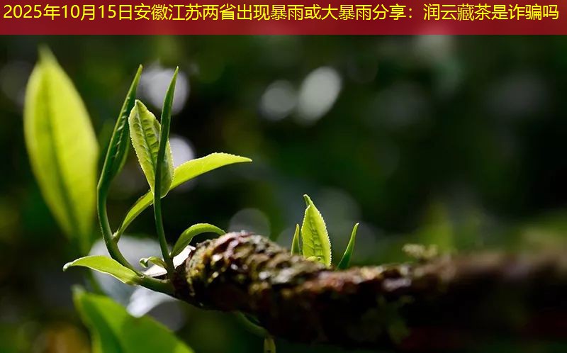 2025年10月15日安徽江苏两省出现暴雨或大暴雨分享