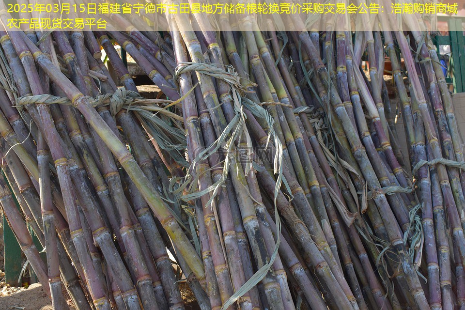 2025年03月15日福建省宁德市古田县地方储备粮轮换竞价采购交易会公告
