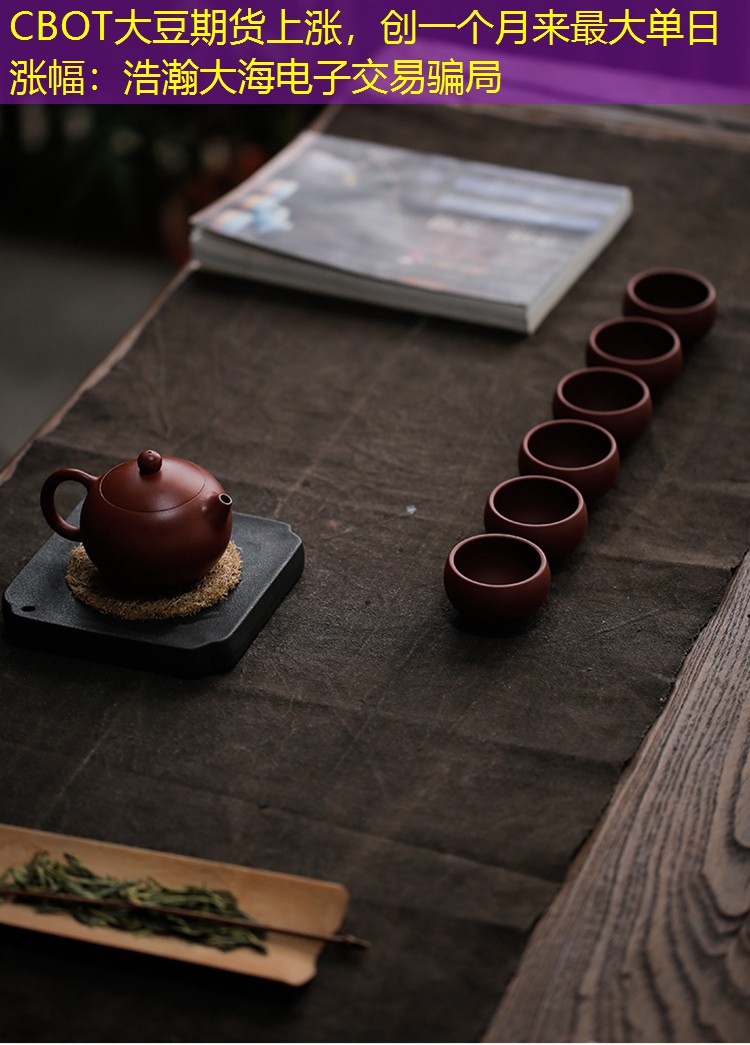 CBOT大豆期货上涨，创一个月来最大单日涨幅：浩瀚大海电子交易骗局