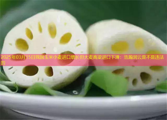 2025年03月15日我国玉米小麦进口增长但大麦高粱进口下滑