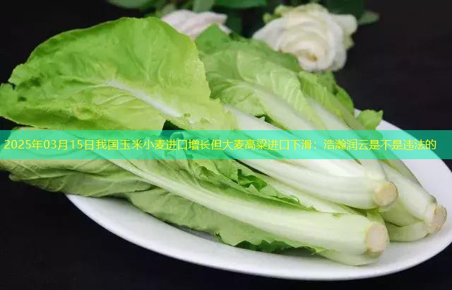 2025年03月15日我国玉米小麦进口增长但大麦高粱进口下滑：浩瀚润云是不是违法的