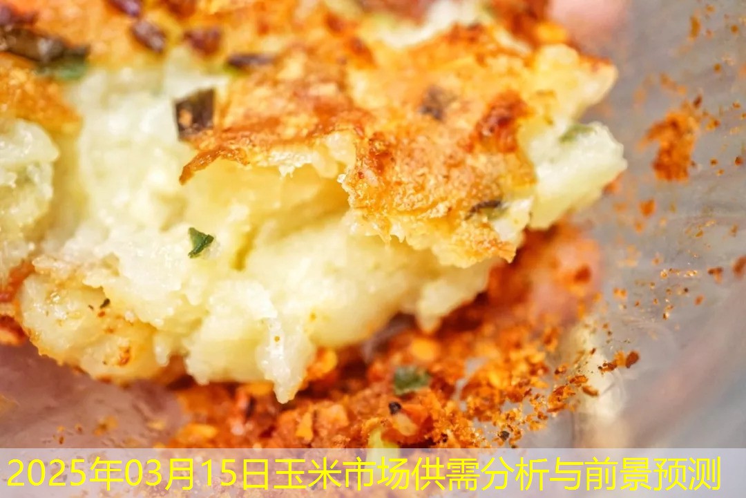 2025年03月15日玉米市场供需分析与前景预测