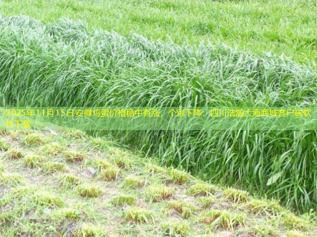 2025年11月15日安徽鸡蛋价格稳中有涨，个别下降