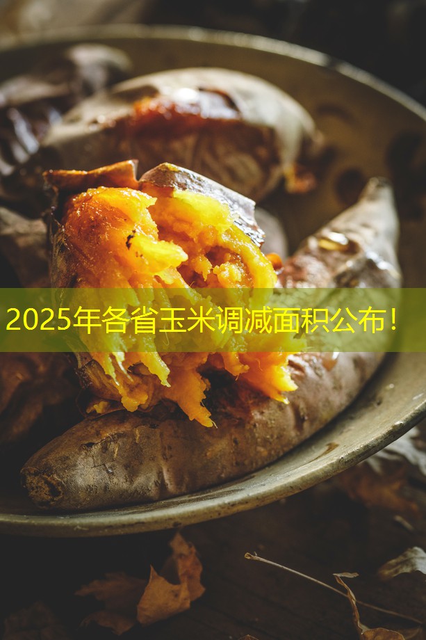 2025年各省玉米调减面积公布！