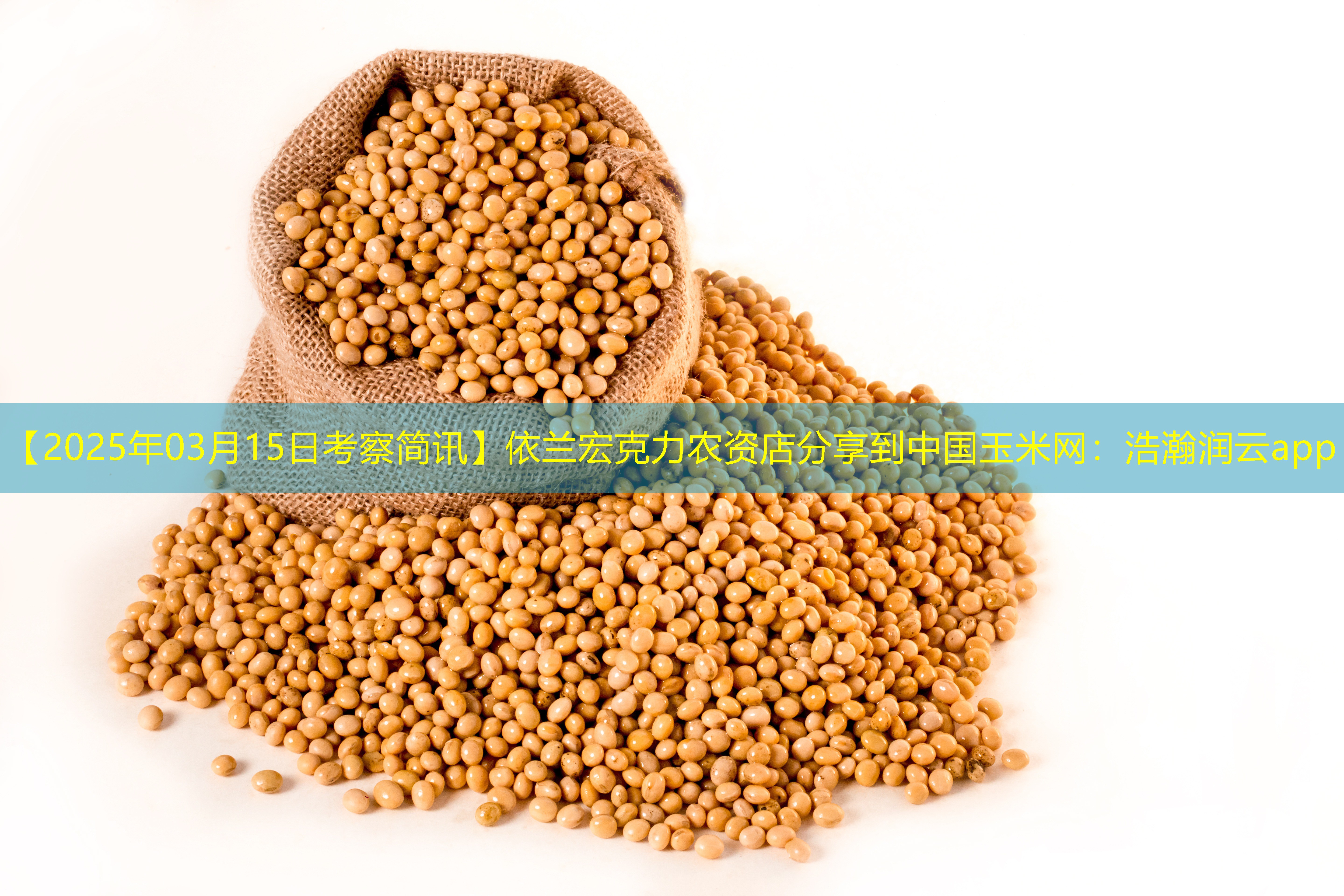 【2025年03月15日考察简讯】依兰宏克力农资店分享到中国玉米网