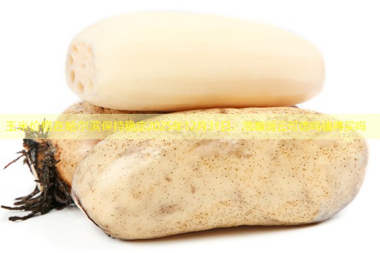 玉米价格在哈尔滨保持稳定2025年12月31日：浩瀚润云可信吗值得买吗