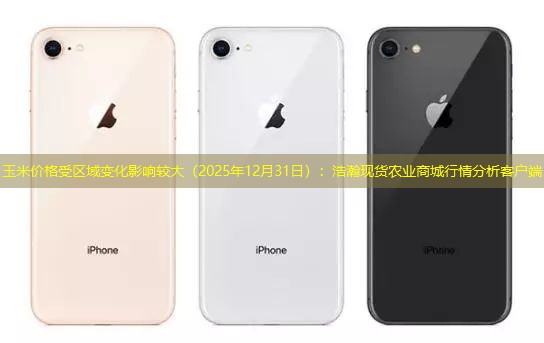 玉米价格受区域变化影响较大（2025年12月31日）