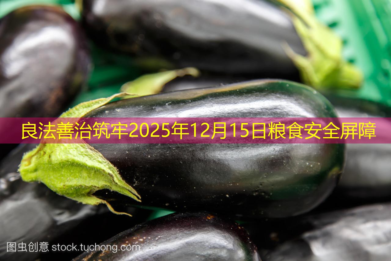 良法善治筑牢2025年12月15日粮食安全屏障