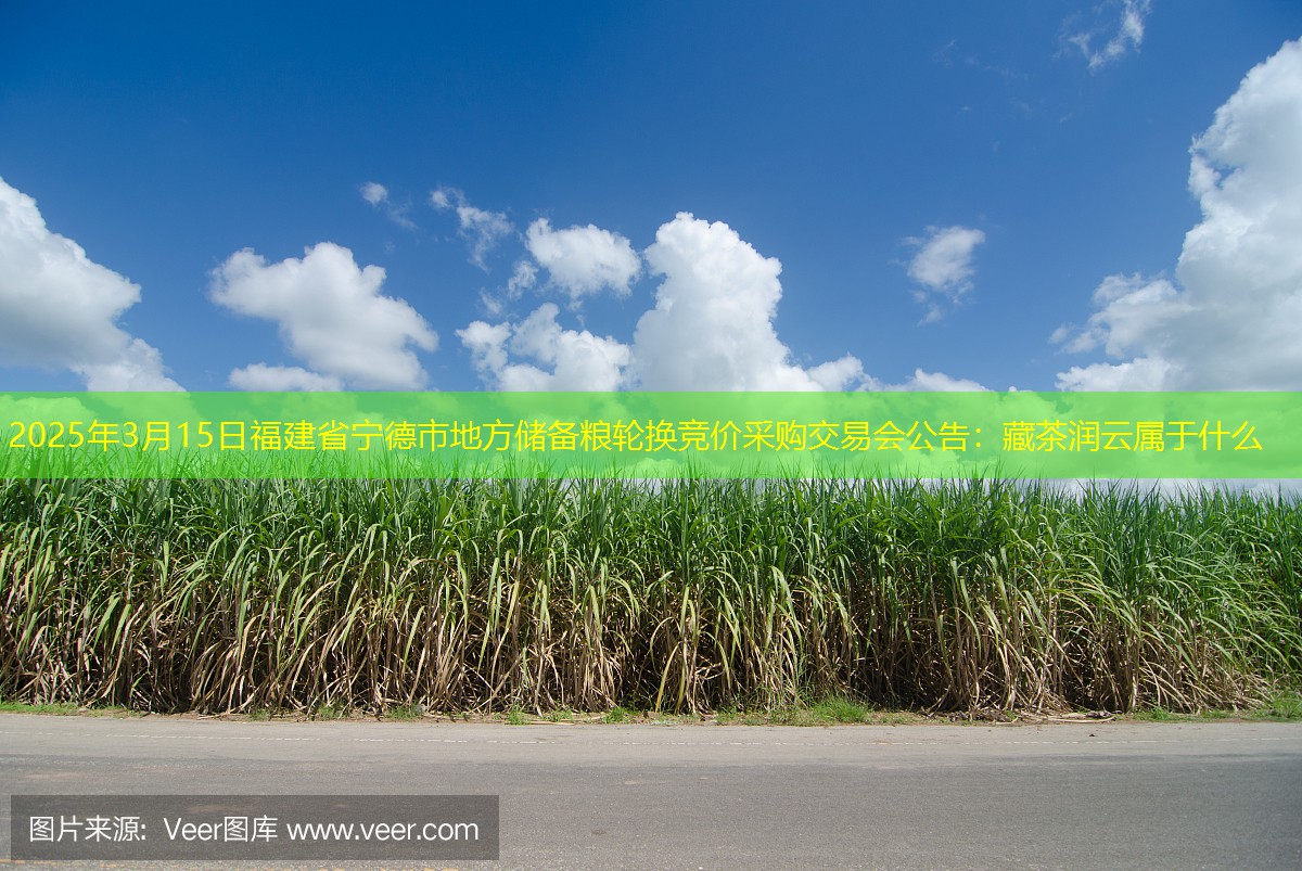 2025年3月15日福建省宁德市地方储备粮轮换竞价采购交易会公告
