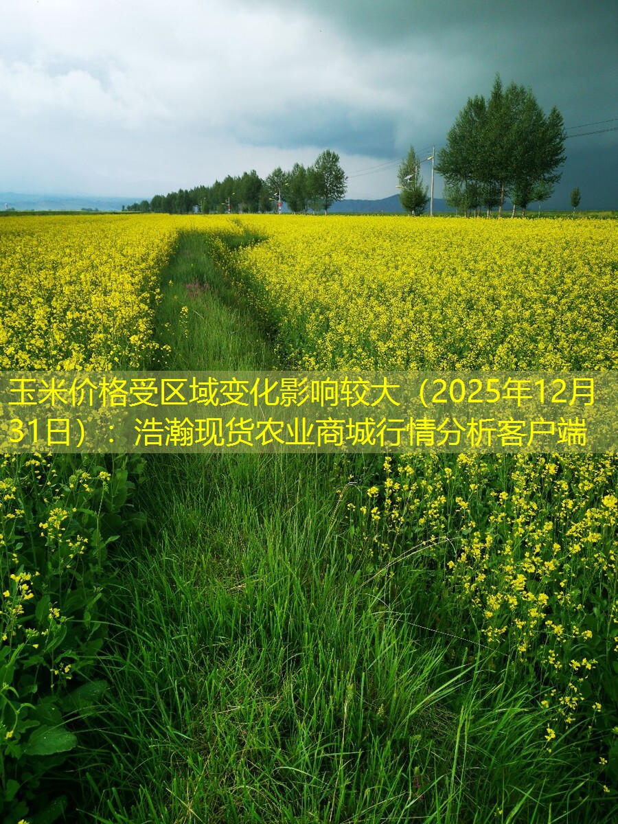 玉米价格受区域变化影响较大（2025年12月31日）