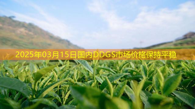 2025年03月15日国内DDGS市场价格保持平稳