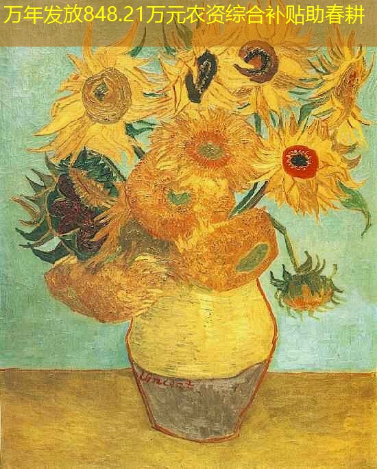 万年发放848.21万元农资综合补贴助春耕