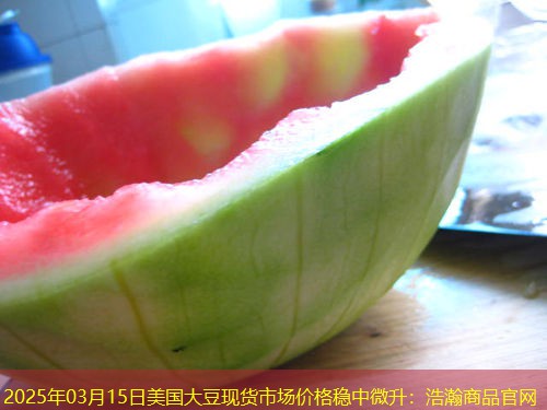 2025年03月15日美国大豆现货市场价格稳中微升：浩瀚商品官网