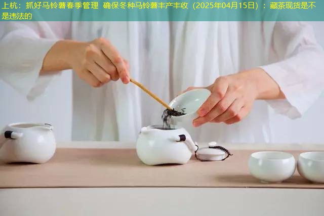 上杭：抓好马铃薯春季管理 确保冬种马铃薯丰产丰收（2025年04月15日）