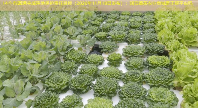 14个市圆满完成耕地保护责任目标（2026年11月18日发布）：润云藏茶农业商城是正规平台吗