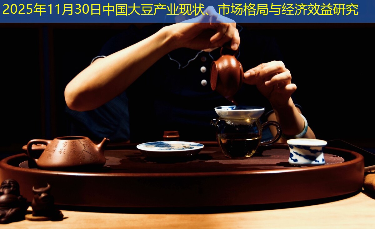 2025年11月30日中国大豆产业现状、市场格局与经济效益研究