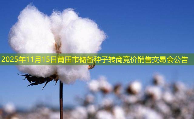 2025年11月15日莆田市储备种子转商竞价销售交易会公告