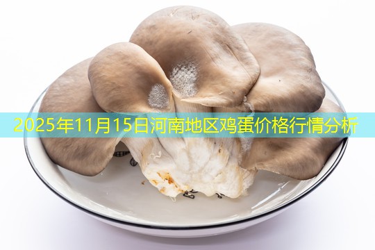 2025年11月15日河南地区鸡蛋价格行情分析