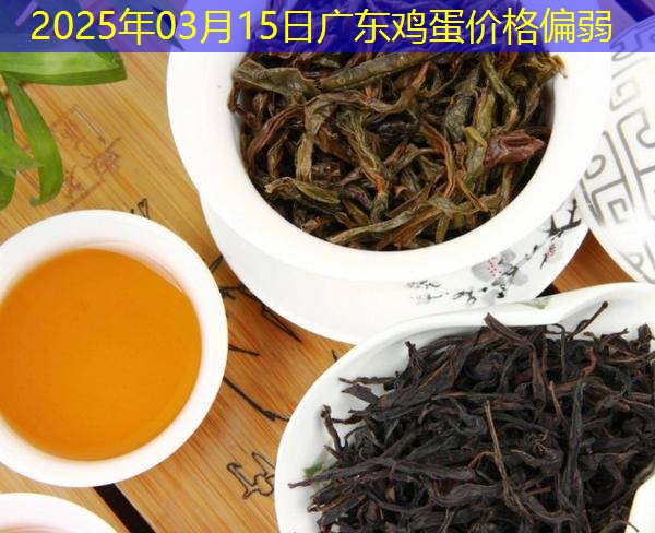 2025年03月15日广东鸡蛋价格偏弱