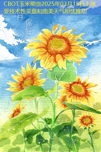 CBOT玉米期货2025年03月15日上涨 受技术性买盘和南美天气担忧推动