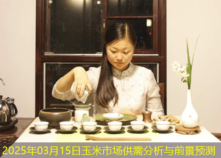 2025年03月15日玉米市场供需分析与前景预测