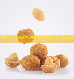 CFT猪评：生猪集中出栏基本结束 短期内猪价或止跌企稳