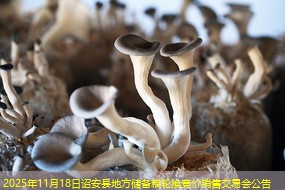 2025年11月18日诏安县地方储备粮轮换竞价销售交易会公告