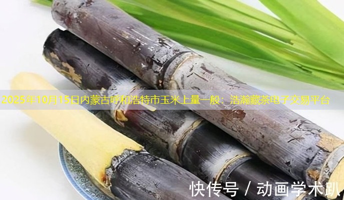 2025年10月15日内蒙古呼和浩特市玉米上量一般：浩瀚藏茶电子交易平台