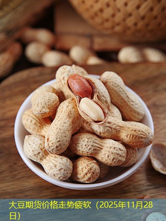 大豆期货价格走势疲软（2025年11月28日）