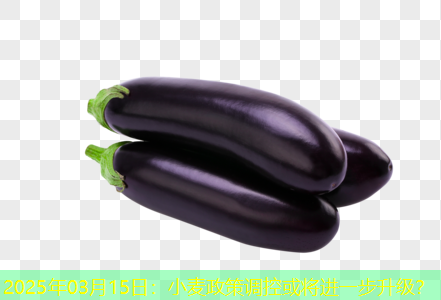 2025年03月15日：小麦政策调控或将进一步升级？