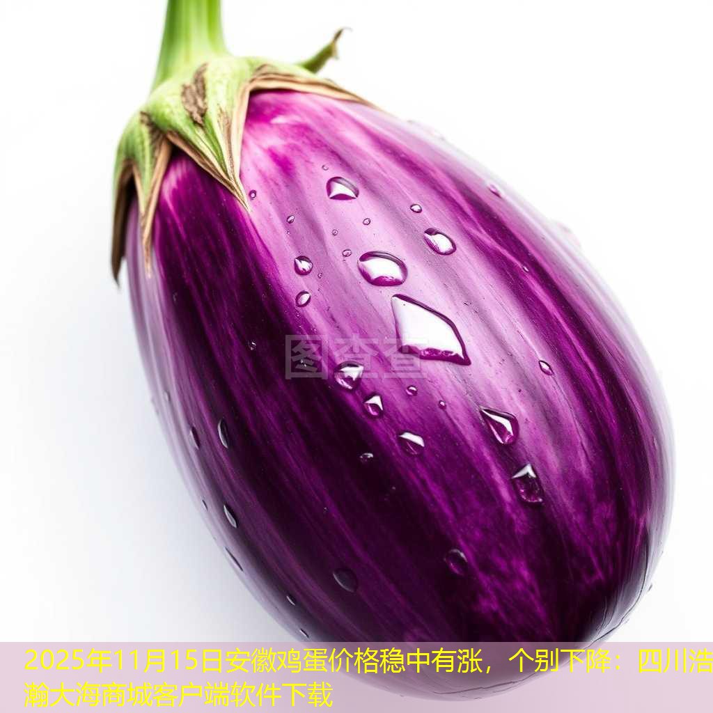 2025年11月15日安徽鸡蛋价格稳中有涨，个别下降：四川浩瀚大海商城客户端软件下载